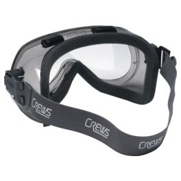 North Safety Protector 300 Safety Goggles - SF23285