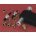 Diamond Grip II Threaded Insert Assortment - LP562