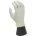 Premium Latex Gloves, Large - 1418052