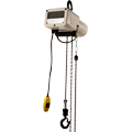 Hoists & Trolleys - Electric Hoists